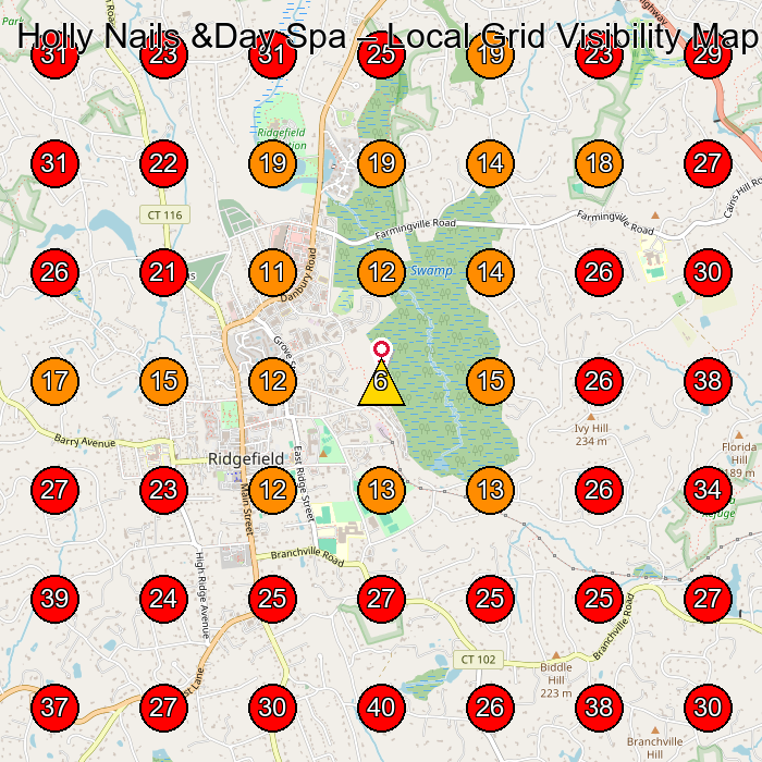 Holly Nails &Day Spa GeoGrid visibility map for Nail Salon in Ridgefield